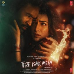 Tere Ishk Mein (Hindi) [2025] (T-Series)